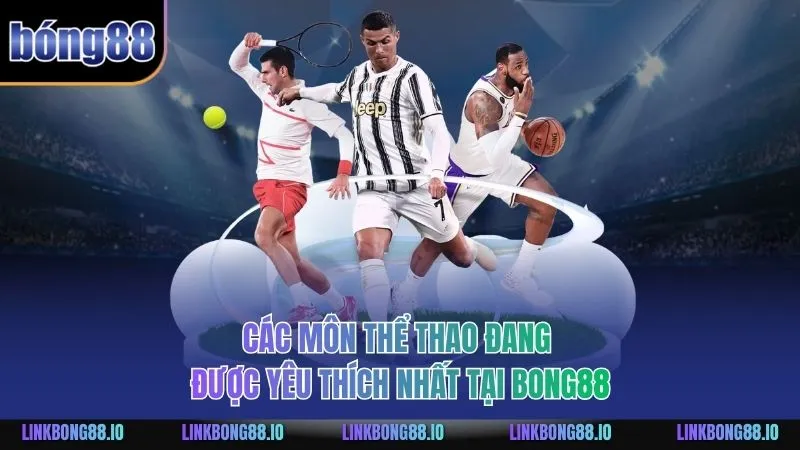 Các môn thể thao đang được yêu thích nhất tại BONG88